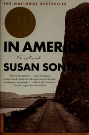 Cover of edition inamericanovel00sont