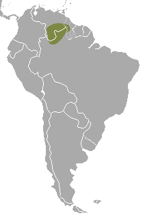 Distribución del olingo de Beddard