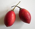 Tamarillo