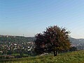 Blick vom Österberg Richtung Norden