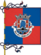 Flagge des Concelhos São Pedro do Sul