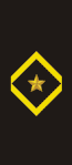 Worn on the sleeve, a gold star surrounded inside of a gold diamond.