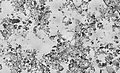 Image 19Diatomaceous earth, by Richard Wheeler (from Wikipedia:Featured pictures/Sciences/Geology)