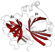 TEV protease