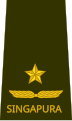 Singapore Armed Forces: Brigadier General