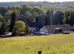 La forêt de Burgholz.