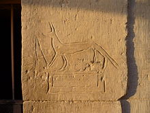 Surface of a stone wall with incised graffiti artwork of a dog, highlighted by angled late afternoon light