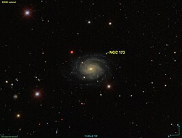 NGC 173