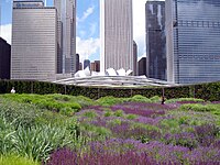 アメリカ合衆国、シカゴの Lurie Garden