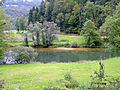 Ruhiger Lauf des Doubs bei Soubey