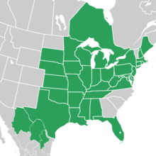 Symphyotrichum praealtum native distribution map: Canada — Ontario; Mexico — Chihuahua, Coahuila, and Nuevo León; US — Alabama, Arkansas, Connecticut, Delaware, District of Columbia, Florida, Illinois, Indiana, Iowa, Kansas, Kentucky, Louisiana, Maine, Maryland, Massachusetts, Michigan, Minnesota, Mississippi, Missouri, Nebraska, New Hampshire, New Jersey, New York, Ohio, Oklahoma, Pennsylvania, Rhode Island, South Dakota, Tennessee, Texas, Virginia, West Virginia, and Wisconsin.