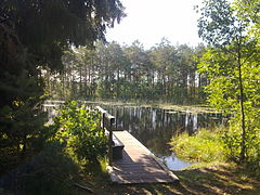 Vue sur le lac depuis le lieu de repos Allikajärvi dans la zone de loisirs de Nõva.