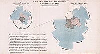 Diagram kutub oleh Florence Nightingale, 1858