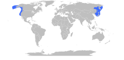 Distribución de E. dofleini