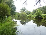 Le Scorff en aval du site du Roc'h : à gauche de la photographie, la rive gauche en Plouay, à droite la rive droite en Arzano.