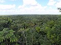 Chiquibul Forest Reserve, Belize