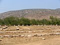 Restes du monastère de Jivakambavana.