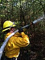 Image 18Wildland firefighter working a brush fire in Hopkinton, New Hampshire, US (from Wildfire)