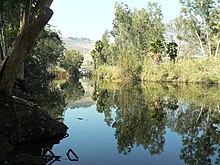 הירדן סמוך למוצאו מהכנרת