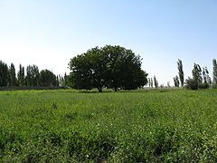 Mashhad's countryside