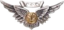 Combat Aircrew badge