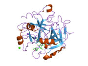 2cf9: COMPLEX OF RECOMBINANT HUMAN THROMBIN WITH A INHIBITOR