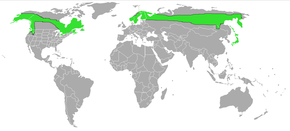 Description de l'image Pinicola enucleator-Map.png.