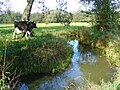 Amerdiep, bovenloop van de Drentsche Aa