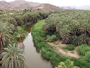 OasisMulegé, Baja California Sur