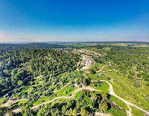 השפלה – מראה כללי