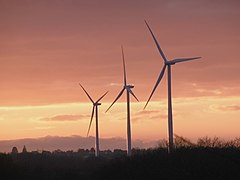 Des éoliennes en France.