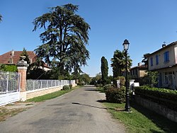 Skyline of Boulaur