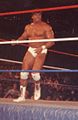 Q1384985 Rick Martel geboren op 18 maart 1956