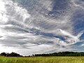 Image 10Cirrus clouds are composed of ice crystals and shaped like hairlike filaments. They are formed at an altitudes above 5000 metres (16,500 feet). The streaks are made of snowflakes that are falling from the cloud and being caught by the high level winds. The streaks point in the direction of the wind and may appear straight giving the clouds the appearance of a comma (cirrus uncinus), or may by seem tangled, an indication of high level turbulence. (Credit: Piccolo Namek.) (from Portal:Earth sciences/Selected pictures)