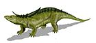 Desmatosuchus spurensis