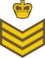 Staff sergeant (New Zealand Army)[32]