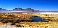 Salar del Huasco