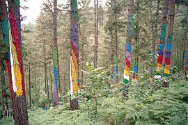 Bosque de Oma, en Urdaibai de Agustín Ibarrola