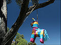 Piñata in San Diego, California