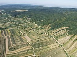 A Lajta-hegység Fertőszéleskút és Feketeváros közt