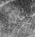 Mona de les línies de Nazca