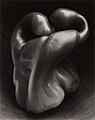 Image 20Pepper No. 30, by Edward Weston (edited by Bammesk) (from Wikipedia:Featured pictures/Artwork/Others)