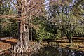 Jardin botanique de Metz