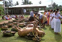 Photo en couleur montrant des cochons tournés les pattes en l'air, posés sur le sol d'une grande pelouse, à côté de paniers en osiers remplis de légumes et recouverts de nattes. Des gens sont présents à côté.