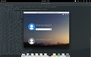 Elementary OS Freya LightDM Demo