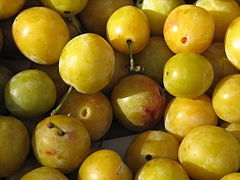 Mirabelles.