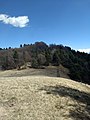 Mount Camiolo di Cima, the Pine Mountain so named in a 1511 parchment