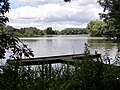 Angelsteg am Südsee (Ostufer), Mai 2015