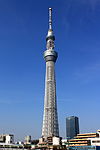 Ground-level view of a tall, slender, gray structure