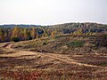 Heidelandschap bij Koitjärve